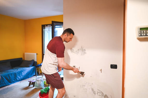 Best HVAC Mold Remediation in Garden City South, NY