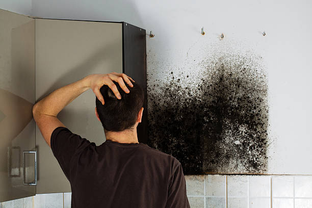 Best Mold Remediation for Schools in Garden City South, NY